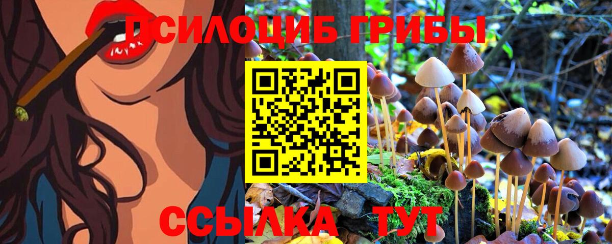 Псилоцибиновые грибы MAGIC MUSHROOMS Ярославль