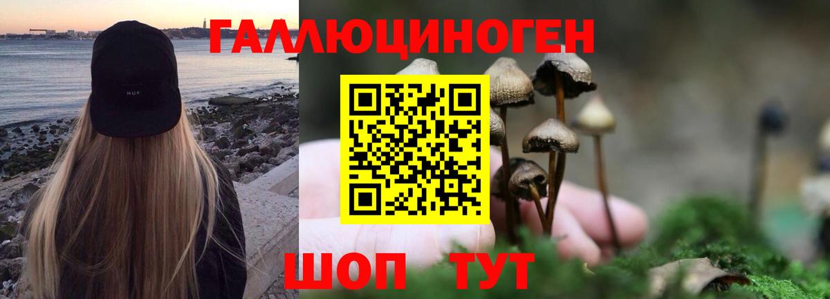 Галлюциногенные грибы мицелий  Галлюциногенные грибы MAGIC MUSHROOMS  Ярославль  Вход с VPN 
